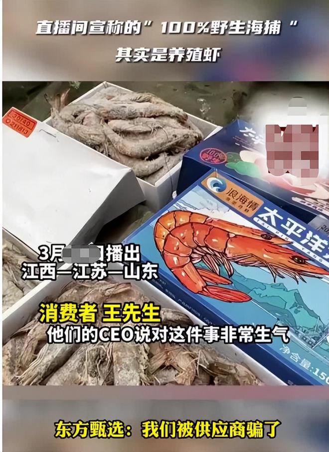 NG体育-福建谋虾要胜利，排名晋级通过